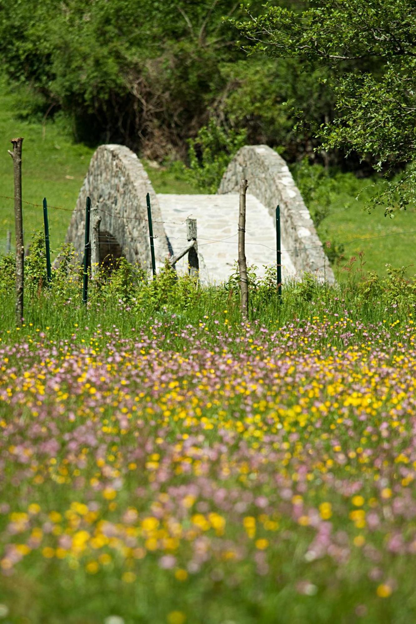 Agriturismo Mulino Marghen - Restored Watermill - Retreat Center Bed & Breakfast Zeri Exterior photo